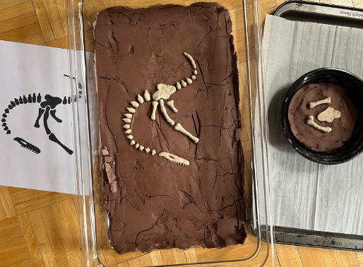 Rough illustration of a baking pan filled with brown clay and fossil skeletons. There's a page with the outline of fossil and a smaller pan with clay and fossil