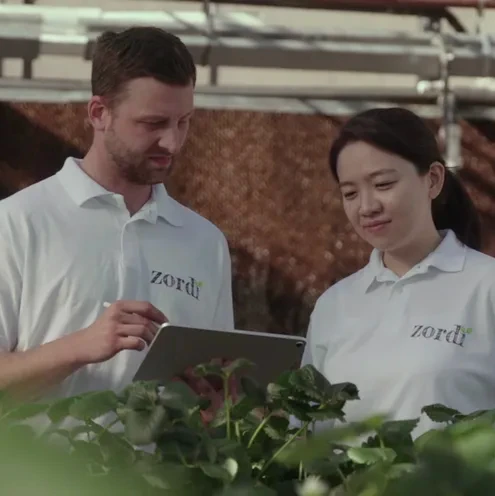 Two people wearing white polo uniforms look intently at a tablet held by one of them