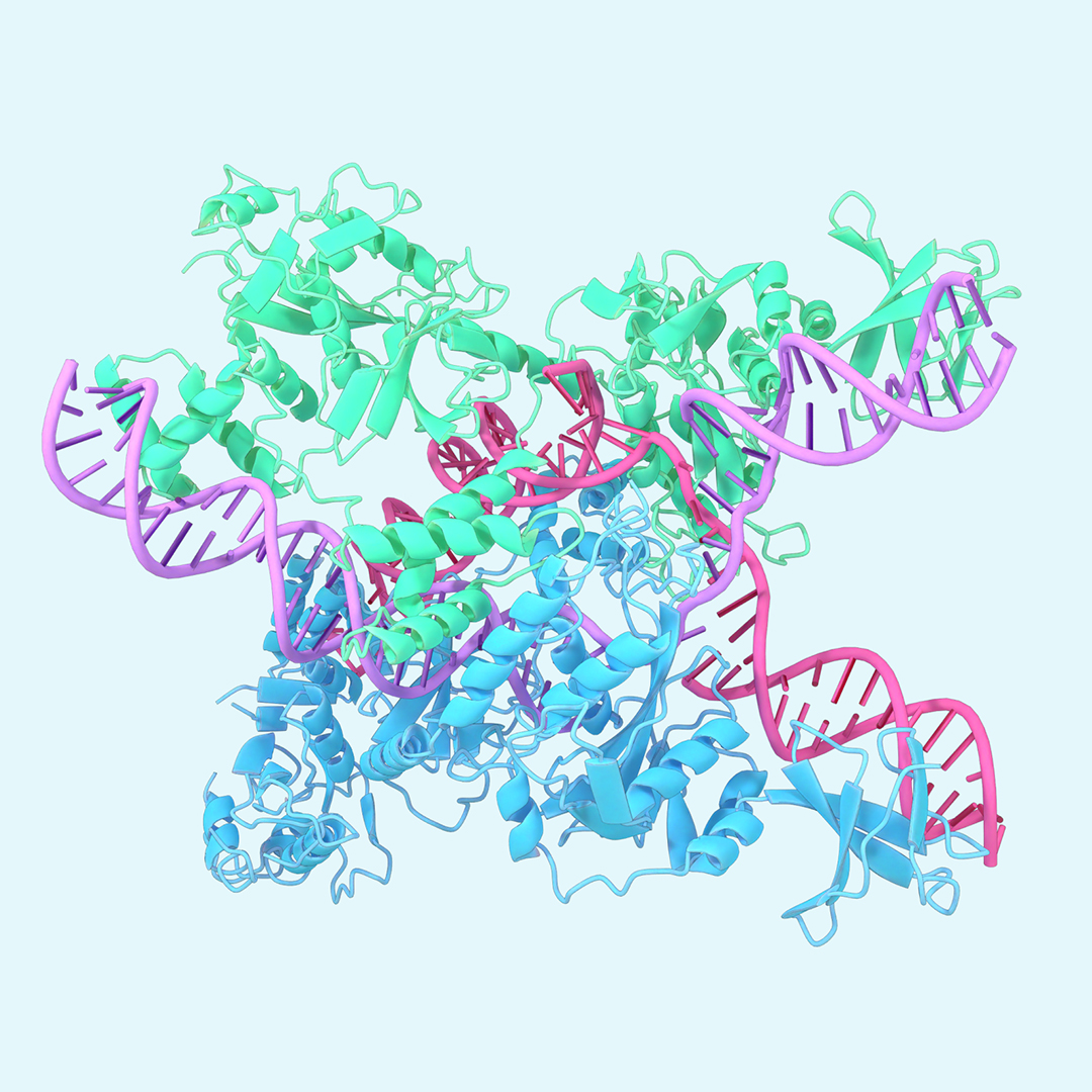 Digitally rendered image of a protein structure prediction by AlphaFold