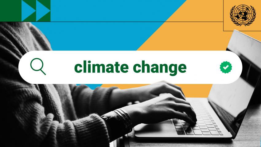 collage style black and white photo of a person at a laptop, cropped at the neck, with yellow, blue and green background and a search bar with the words "climate change"