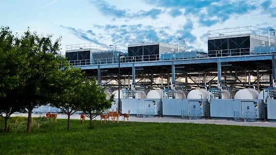 Image of deer outside a Google Data Center