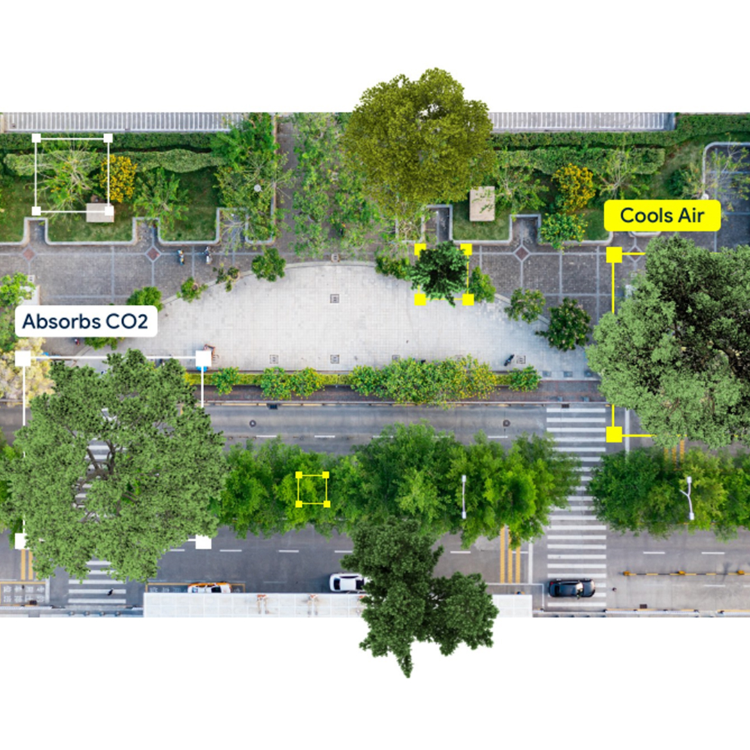 Aerial image of roads and greenery. A yellow box around a tree is labeled  "Cools air " and a white box around another tree is labeled "Absorbs CO2"