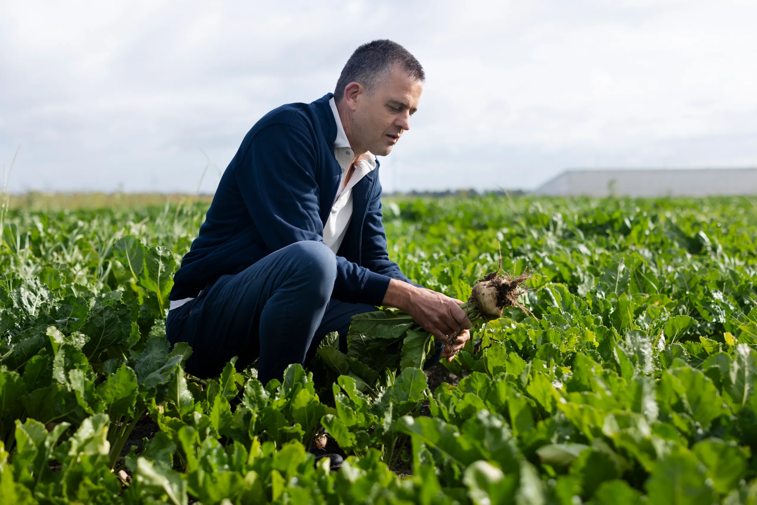 Jeroen de Schutter reviewing a crop