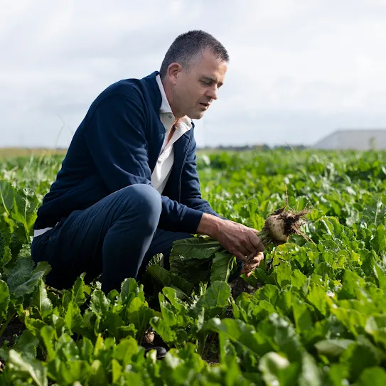 Jeroen de Schutter reviewing a crop