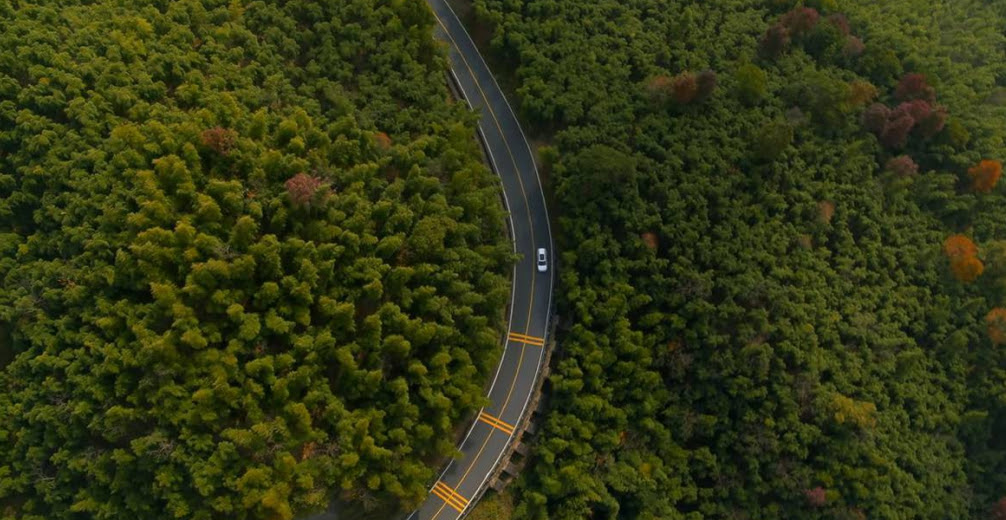 A bird’s eye view of a Jaguar car driving on a road through a forest.