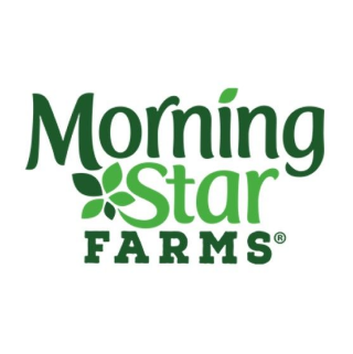 Morning Star Icon