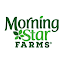 Morning Star Icon