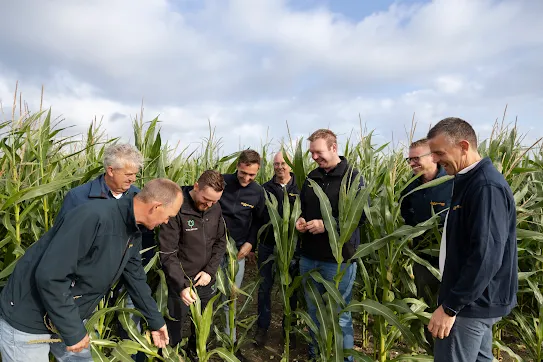 Agrotheek team in a corn field