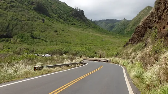 Scenic Hawaiian street surrounded by lush tropical vegetation.