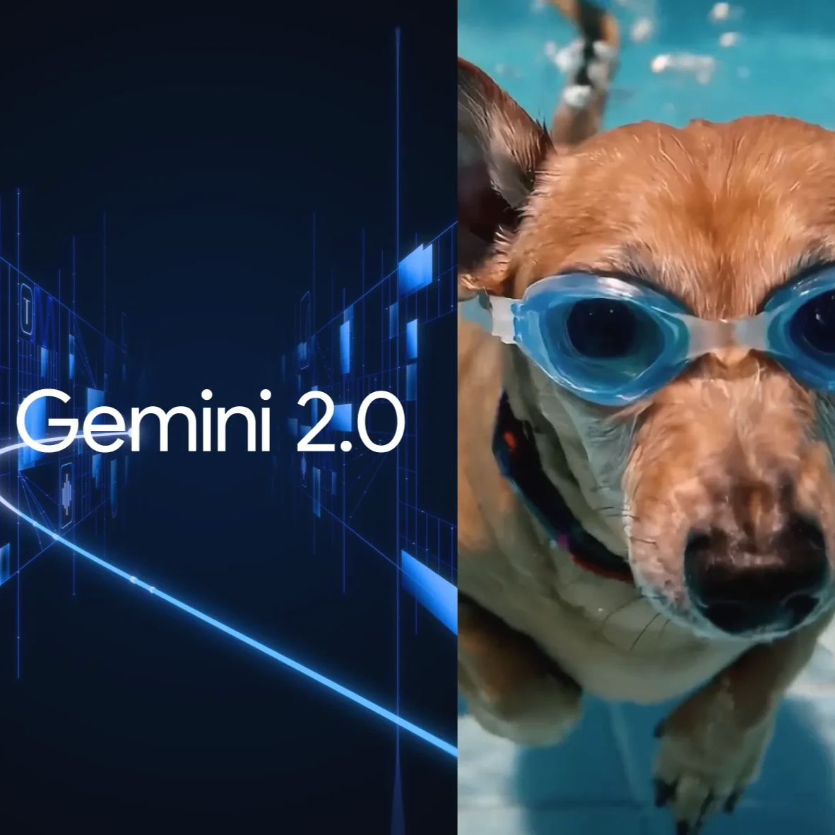 An image showing the Gemini logo on one side and an AI generated image of a dog on the other