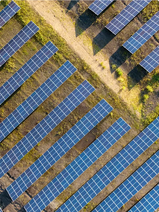 An overhead view of a Google solar farm.