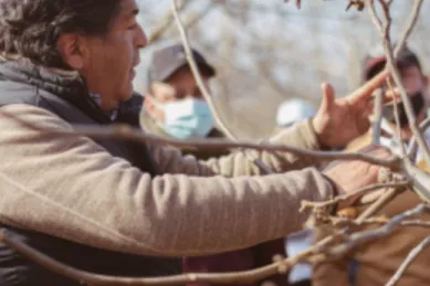 A man in an orchard speaking to a group of people. 