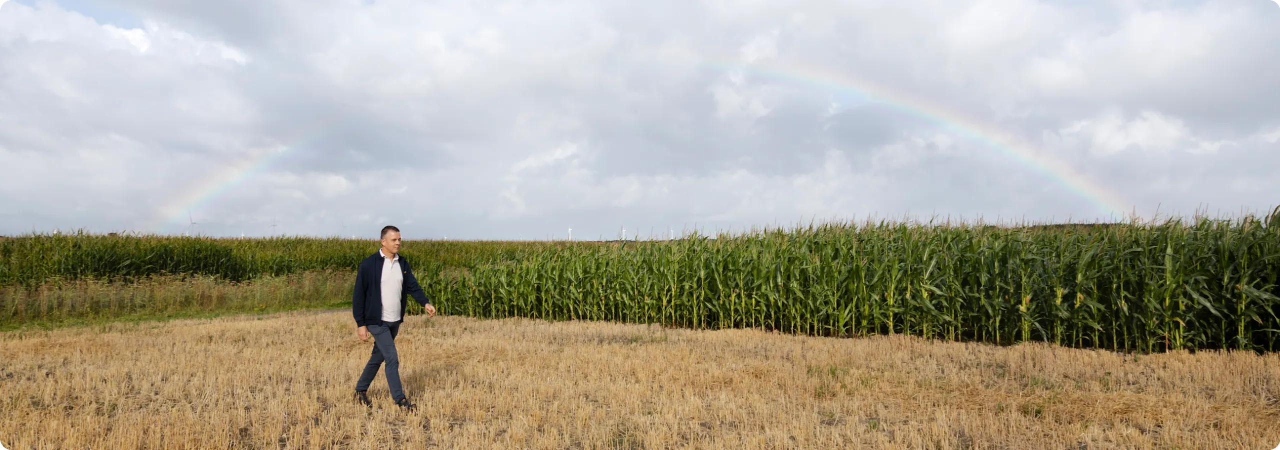 A man walking next to a cornfield with a rainbow shining above.