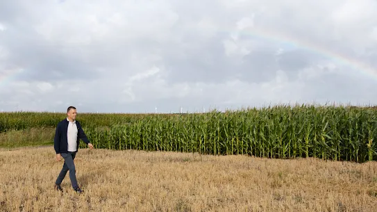 A man walking next to a cornfield with a rainbow shining above.