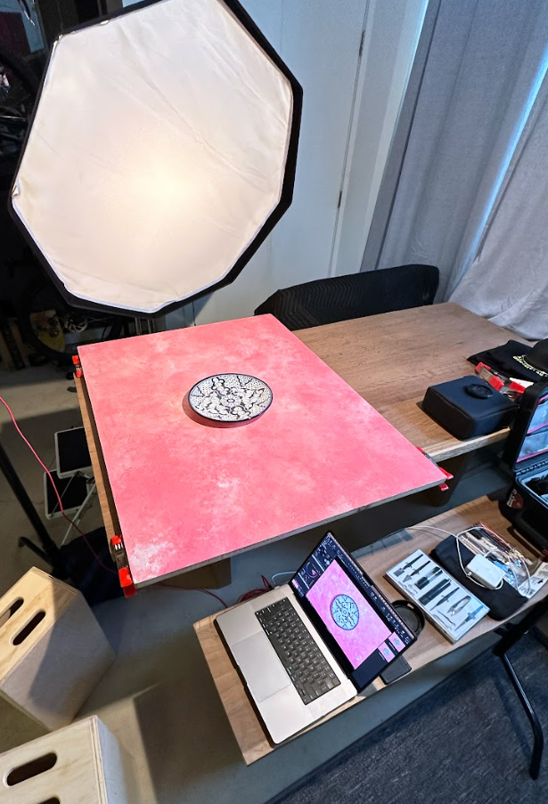 Image of the set up of Doodle with the pink backdrop and plate on a table with a computer and a large light. 