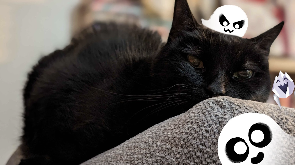 Photo of a black cat with illustrated ghosts 