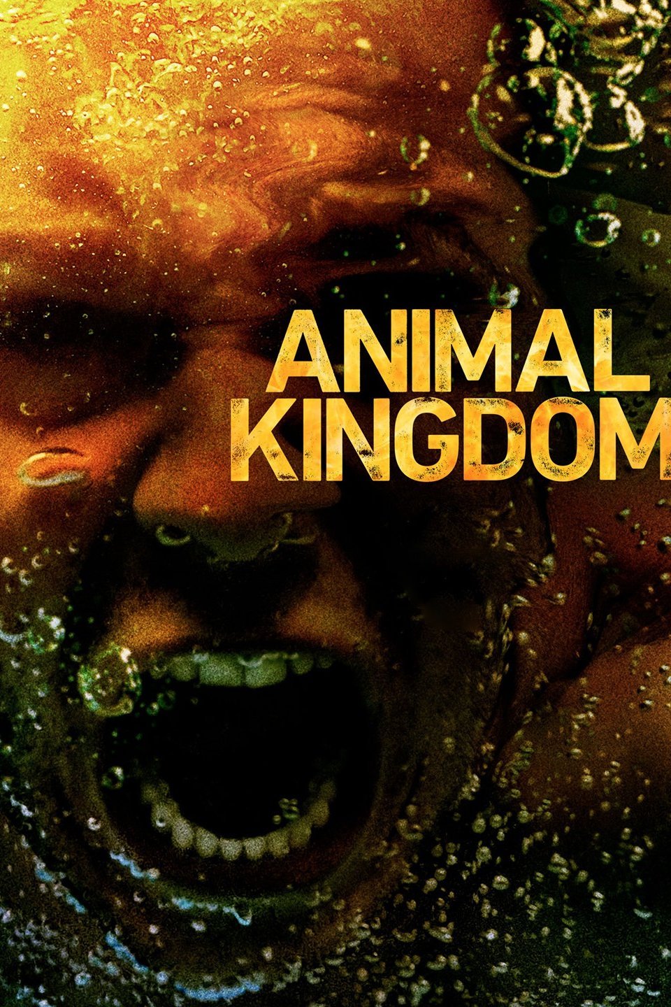 Animal Kingdom Season 3 HDTV 2018 Download 720p & 480p