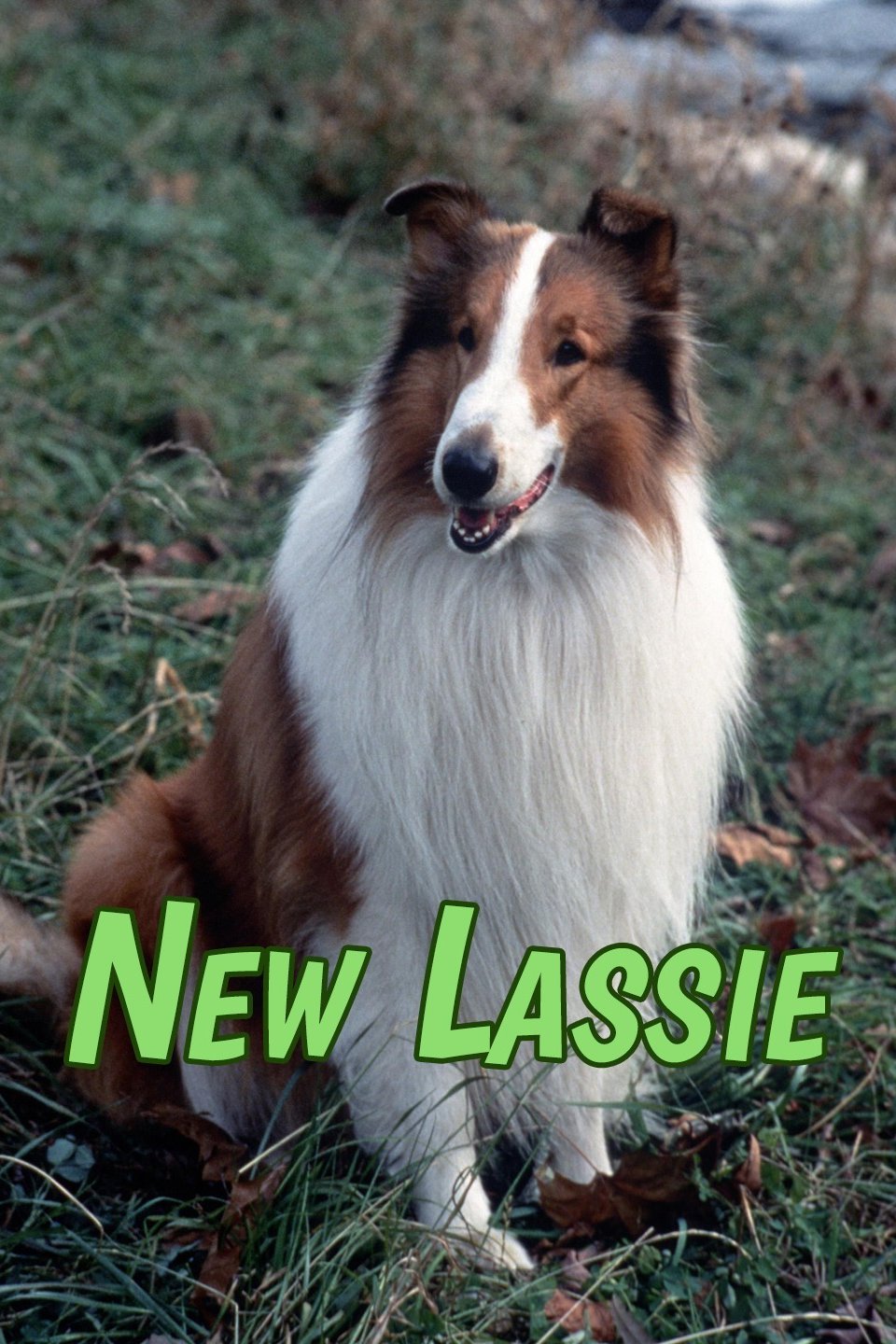 The New Lassie Alchetron The Free Social Encyclopedia 